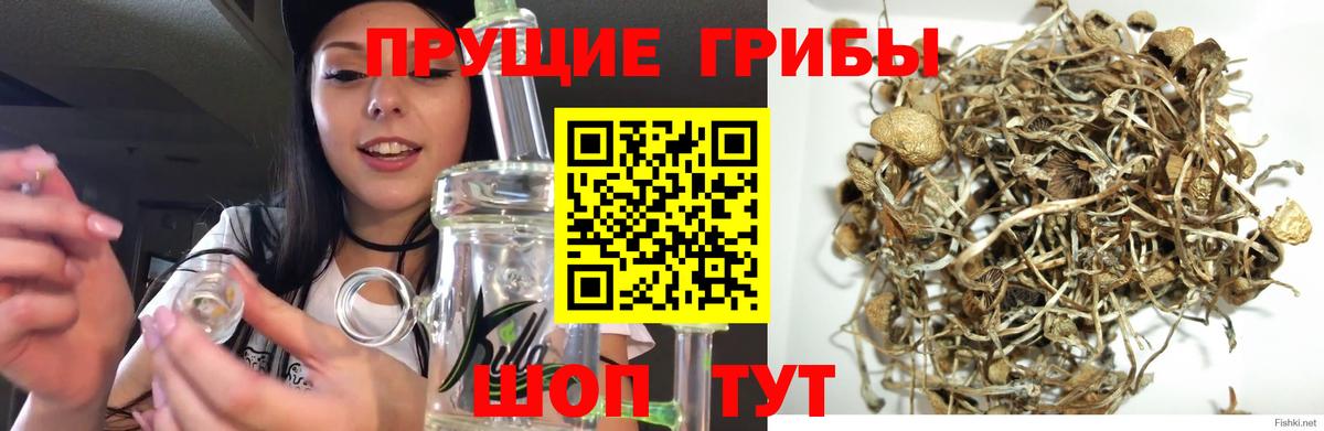 Лянтор  Псилоцибиновые грибы Cubensis  Галлюциногенные грибы Magic Shrooms  Вход с VPN 
